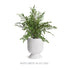 ISADORA FOOTED URN LARGE - view 5