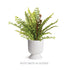 Isadora Footed Urn Small - View 5