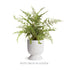 ISADORA FOOTED URN SMALL - view 4