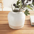 LEONA WIDE VASE - view 5