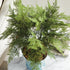 PLUMOSA FERN DROP-IN 21" - view 7