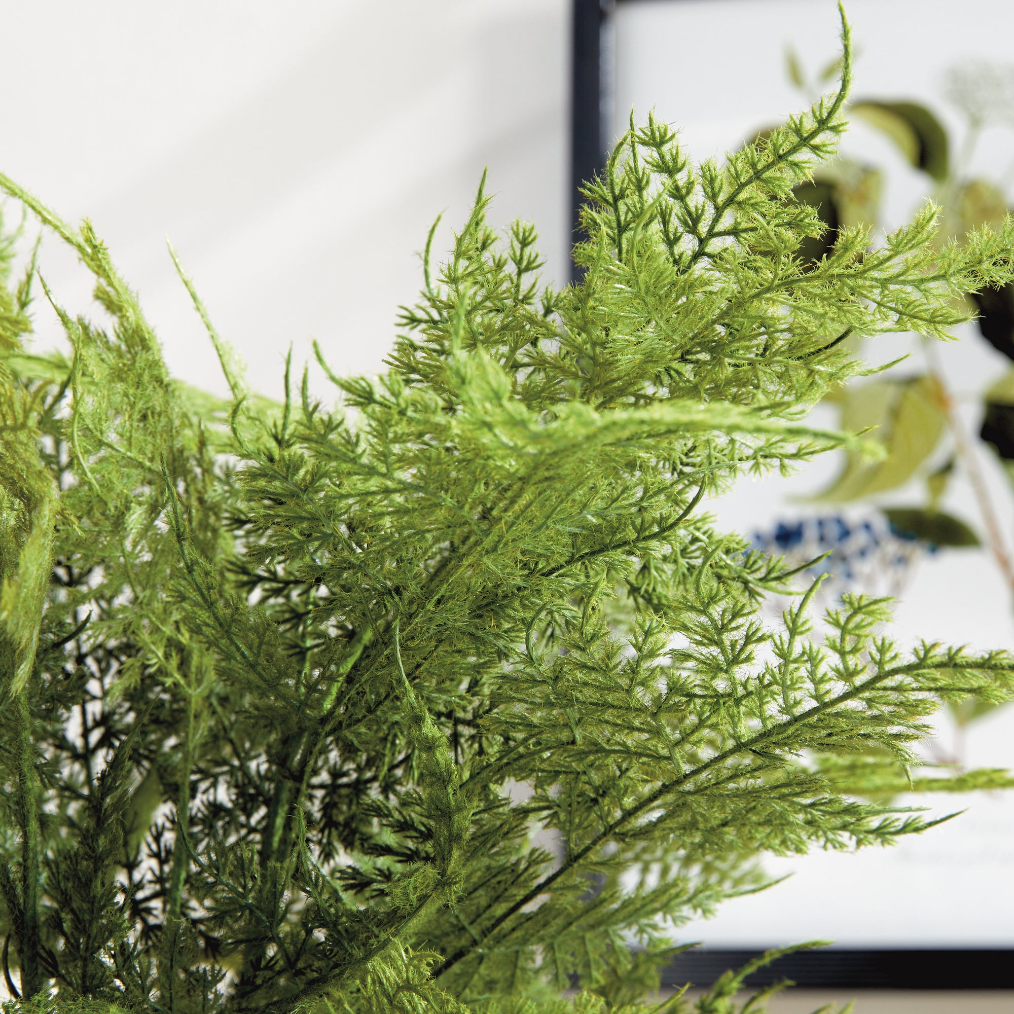 Plumosa Fern Drop-In 21" - View 9
