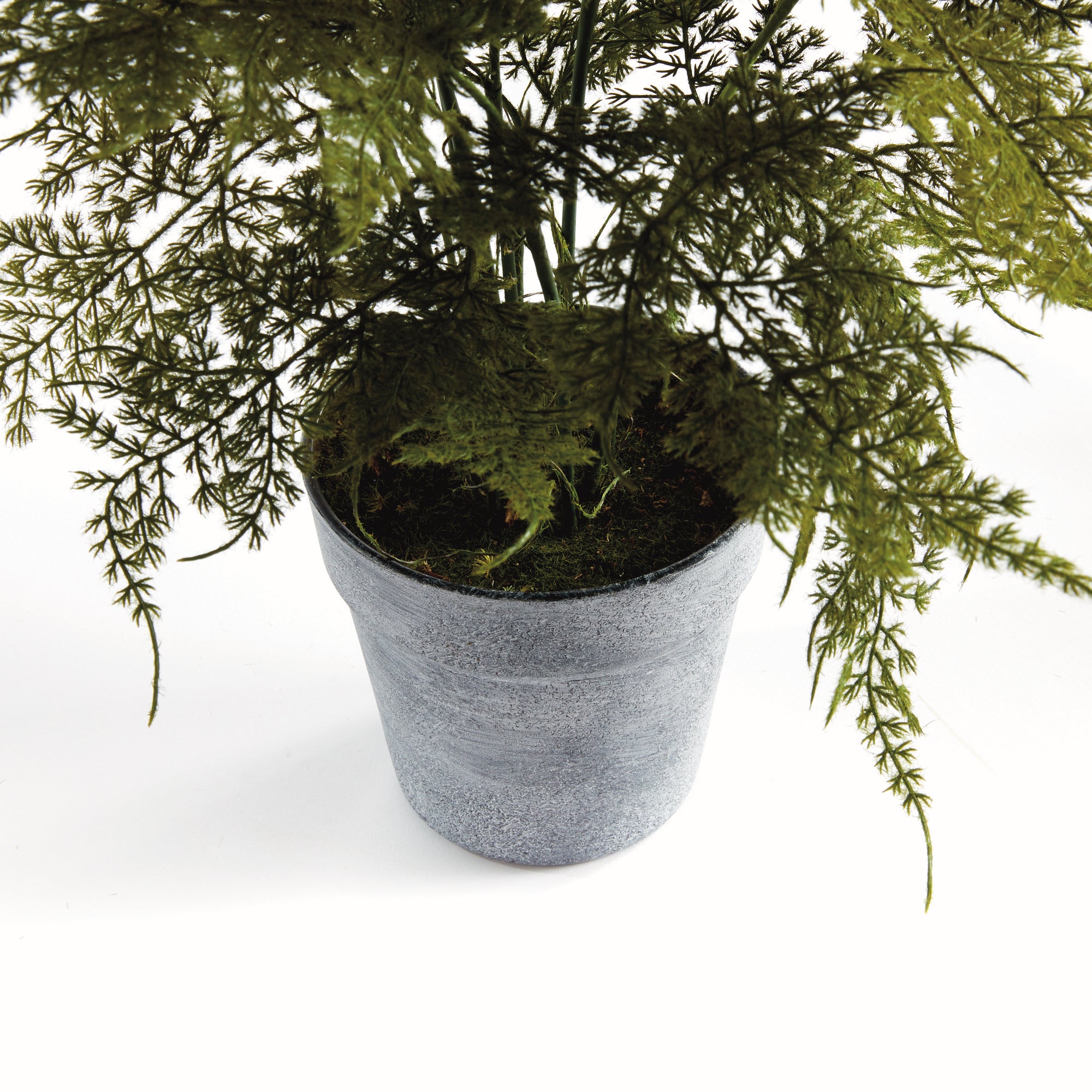 Plumosa Fern Drop-In 21" - View 3