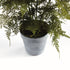 Plumosa Fern Drop-In 21" - View 3