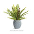 Thessaly Pot - View 8