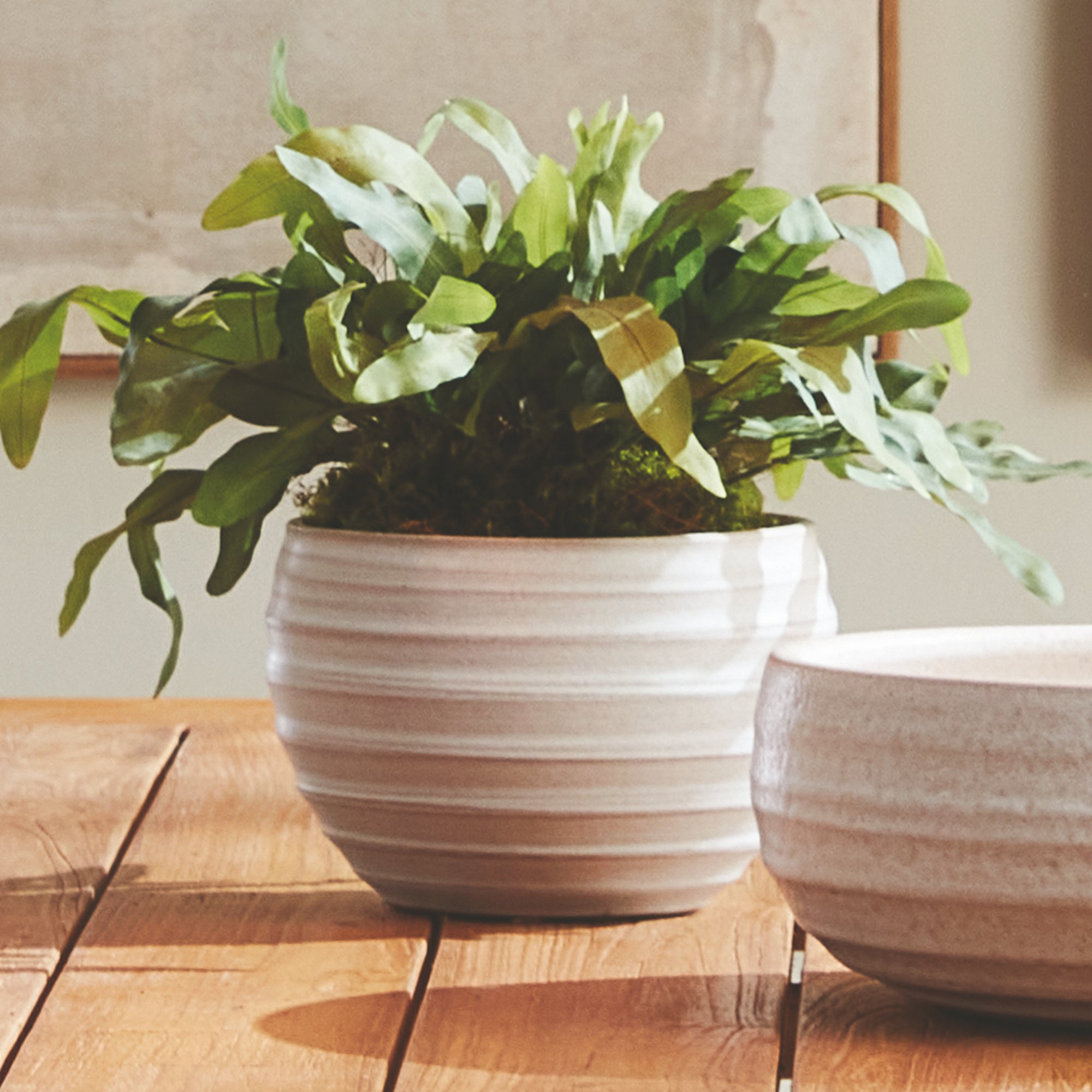 CHRYSSA POT - view 4
