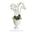 Petalo Vase Small - View 4