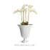 PERLA WIDE VASE - view 7