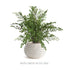 Avani Pot Medium - View 4