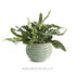 Avani Pot Large - View 7