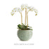 Avani Pot Large - View 8