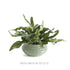 Avani Decorative Bowl - View 5