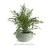 Avani Decorative Bowl - View 4