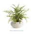 Avani Decorative Bowl - View 5