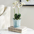 Maline Footed  Pot Small - View 5
