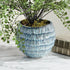 Vista Pot - View 6
