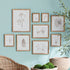 BOTANICAL STUDY IN SEPIA, SET OF 9 - view 3