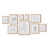BOTANICAL STUDY IN SEPIA, SET OF 9