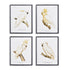 Parrot Study In White, Set Of 4