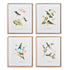 Hummingbirds With Blush Blooms, Set Of 4