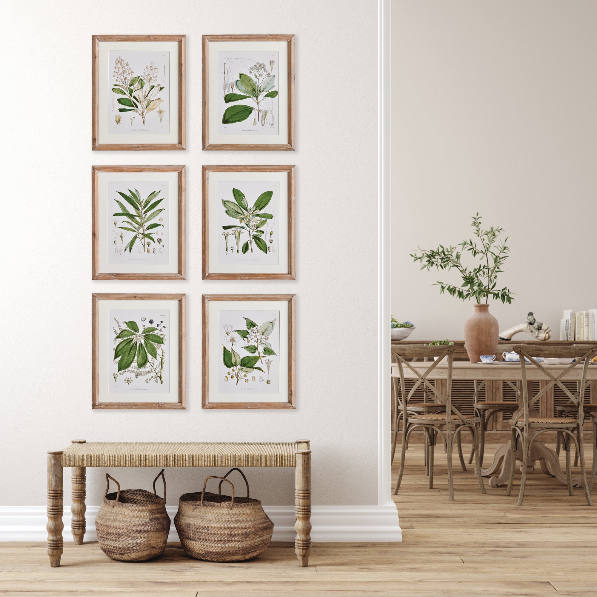 Classic Flower And Leaf Study, Set Of 6 - View 3