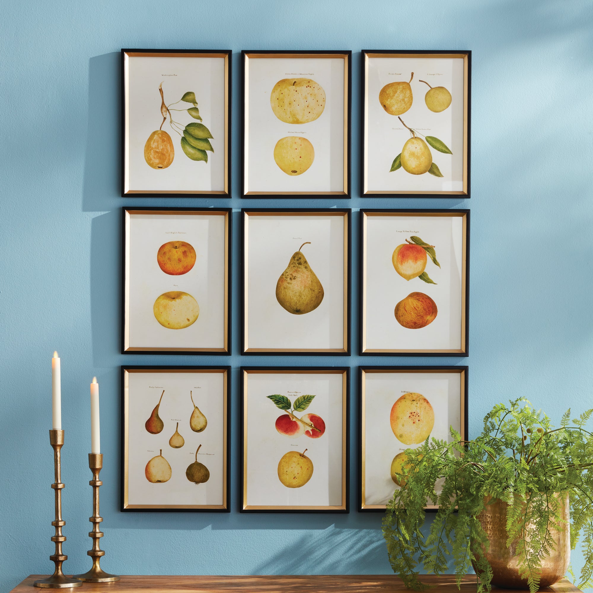 Assorted Fruits Study, Set Of 9 - View 3