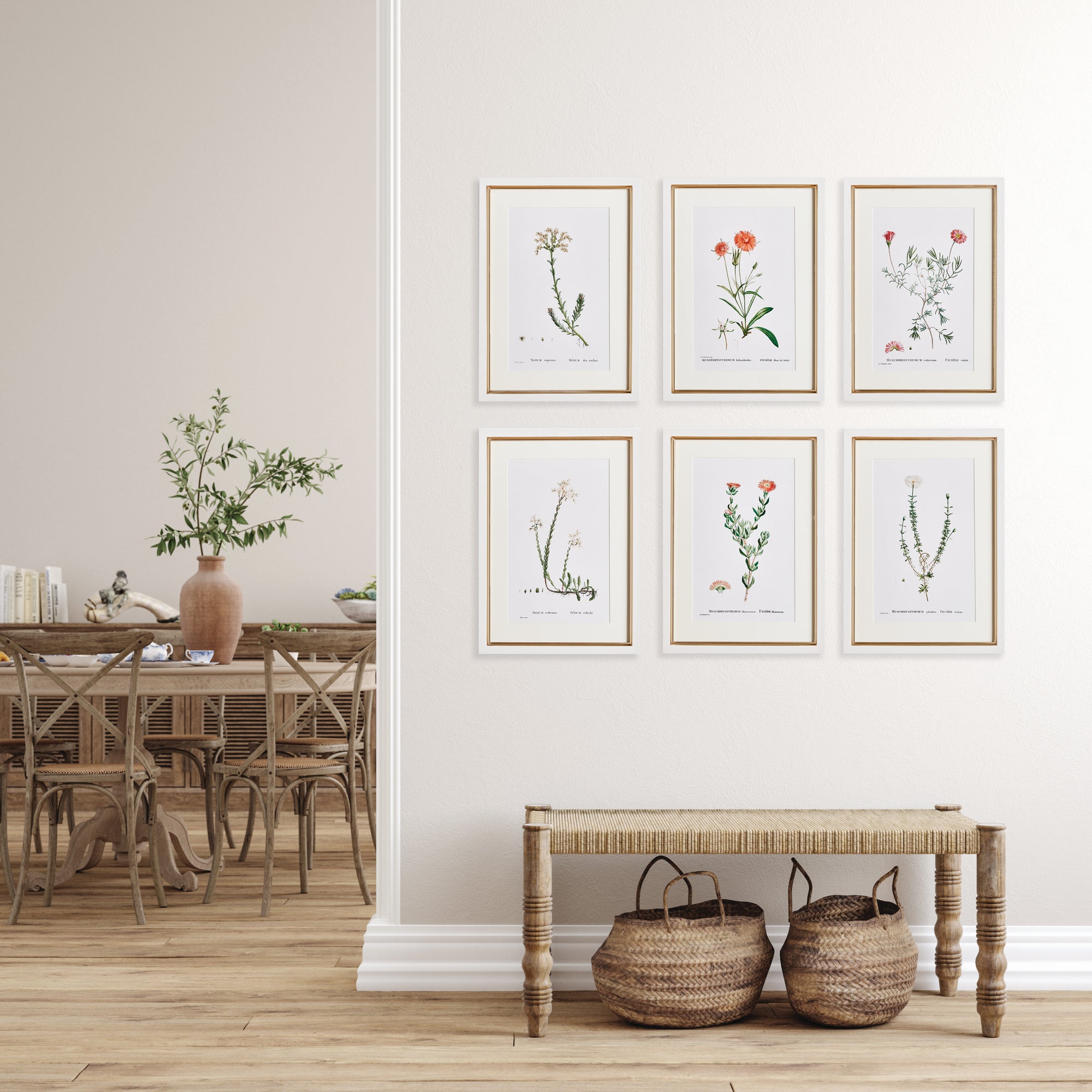 FLOWER STUDIES IN SHADES OF BLUSH, SET OF 6 - view 3