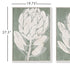 PROTEA TRIPTYCH HAND-EMBELLISHED GICLEES, SET OF 3 - view 6