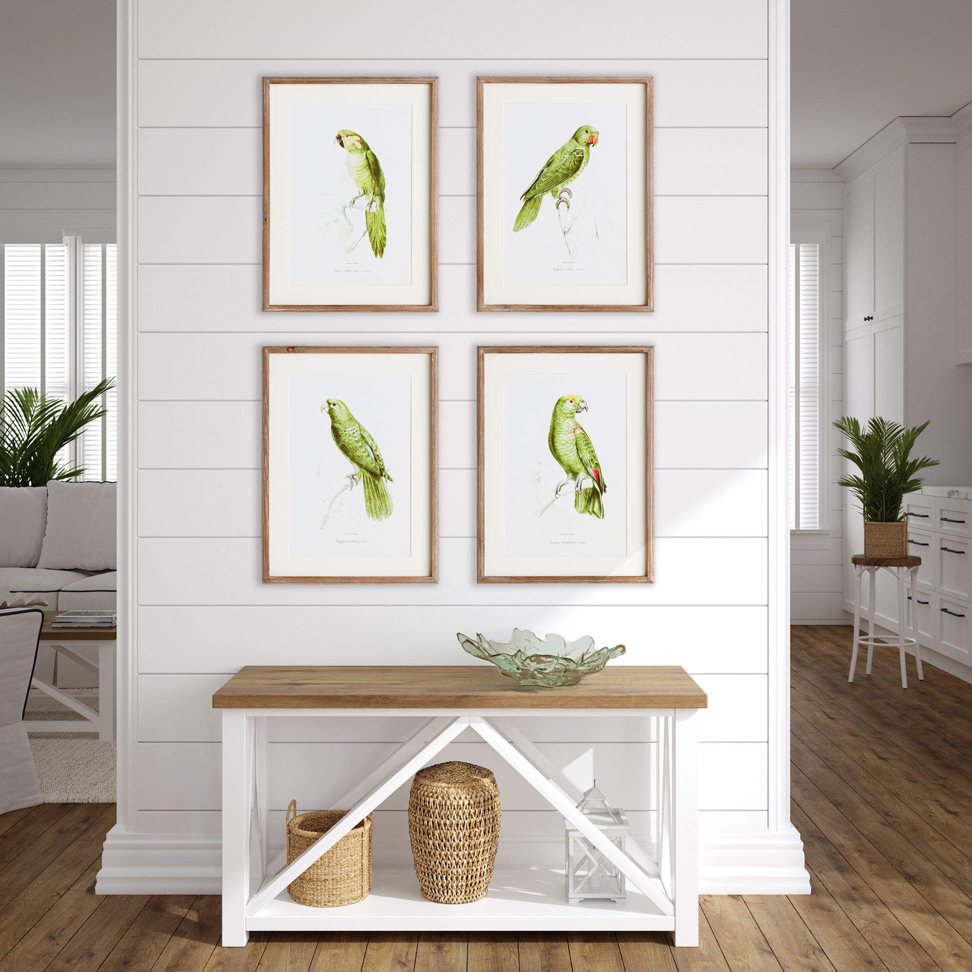 PARROT ILLUSTRATIONS IN GREEN, SET OF 4 - view 5