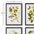 Floral And Berry Study, Set Of 4 - View 3