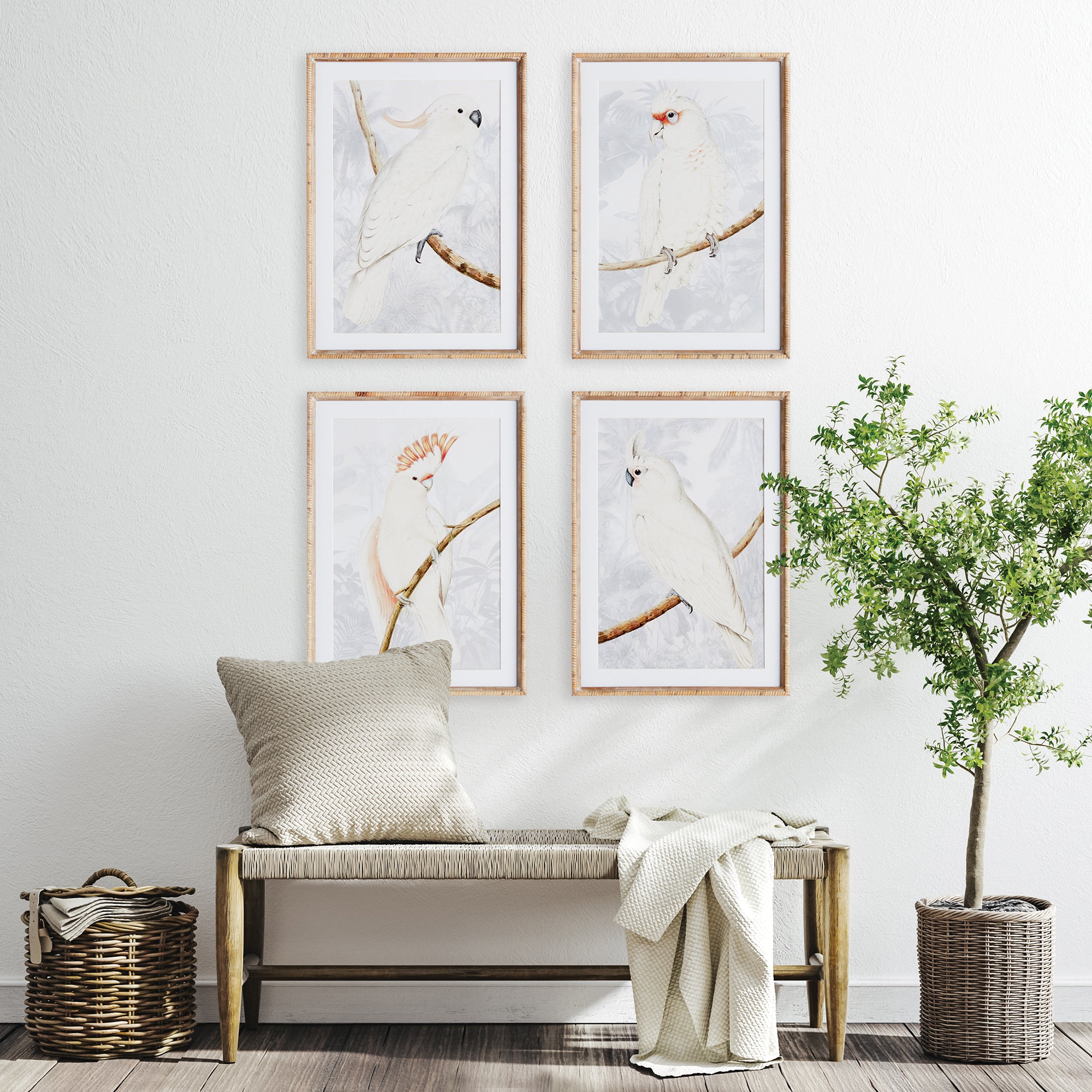 White Cockatoo Prints, Set Of 4 - View 4