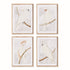 White Cockatoo Prints, Set Of 4