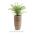 LUCAS PLANTER  SMALL - view 8