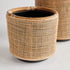Lyla Dry Basket Planters, Set Of 2 - View 2
