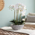 Serena Decorative Bowl - View 5