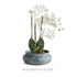 Mirela Decorative Bowl - View 7
