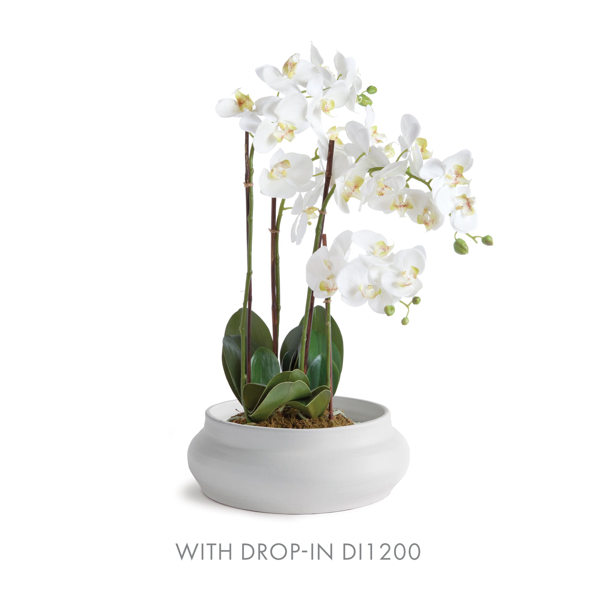 Mirela Decorative Bowl - View 12