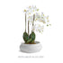 Mirela Decorative Bowl - View 12