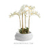 Mirela Decorative Bowl - View 13