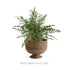 BURMA RATTAN  FOOTED CACHEPOT - view 6