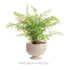 Burma Rattan Footed Cachepot - View 7