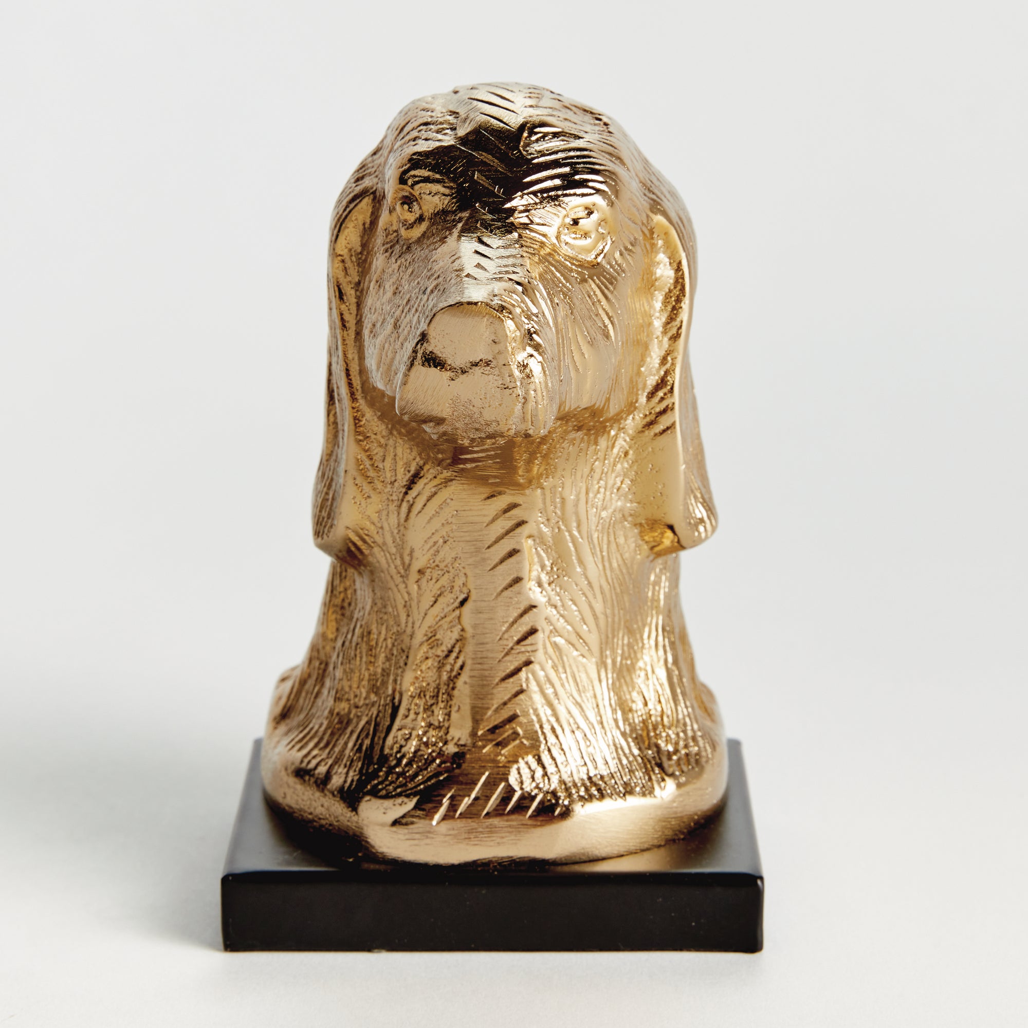 Distinguished Dog Bust Sculpture - View 4