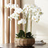 Phalaenopsis Orchid Bowl Drop-In 35" - View 5