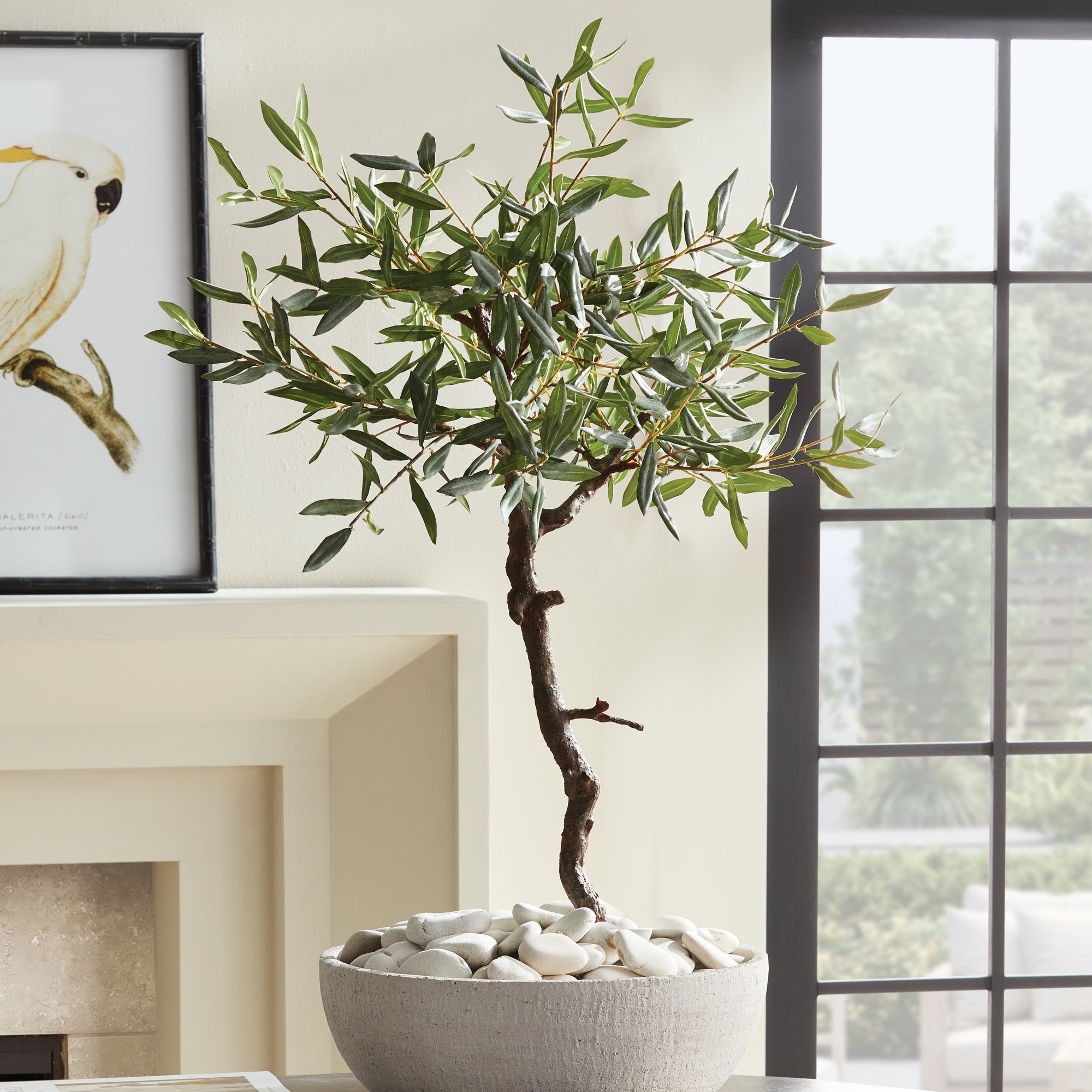 Olive Tree Drop-In 40" - View 6