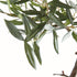 Olive Tree Drop-In 40" - View 4