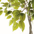 Ficus Tree Drop-In 51" - View 3