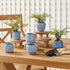 Dezie Mini Pots, Set Of 6 - View 10