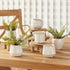 Dezie Mini Pots, Set Of 6 - View 11