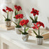 Province Mini Flower Pots, Set Of 6 - View 10