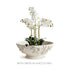 Olivella Footed Bowl - View 6
